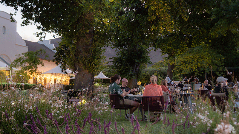 Steenebrg Live Events at Tryn under the stars